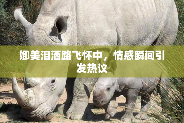 娜美泪洒路飞怀中，情感瞬间引发热议