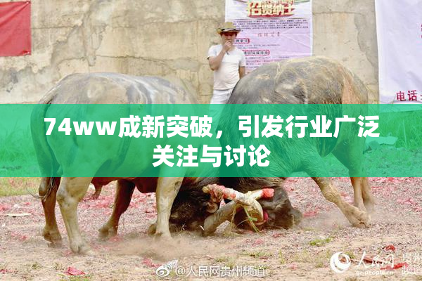 74ww成新突破，引发行业广泛关注与讨论