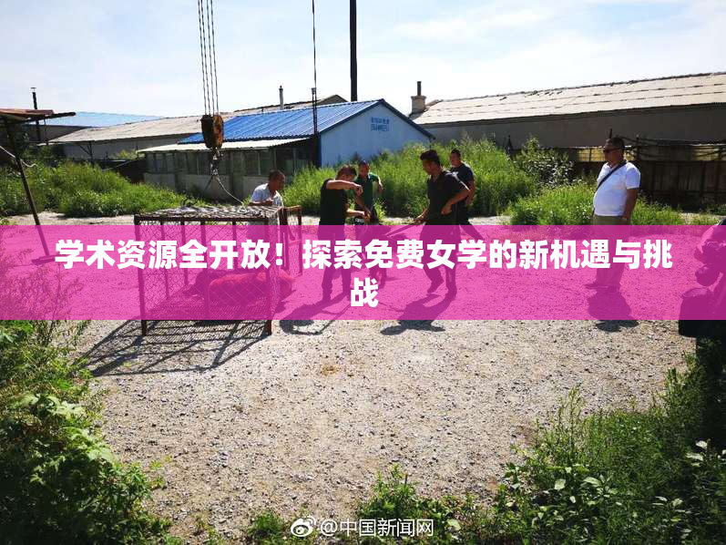 学术资源全开放！探索免费女学的新机遇与挑战