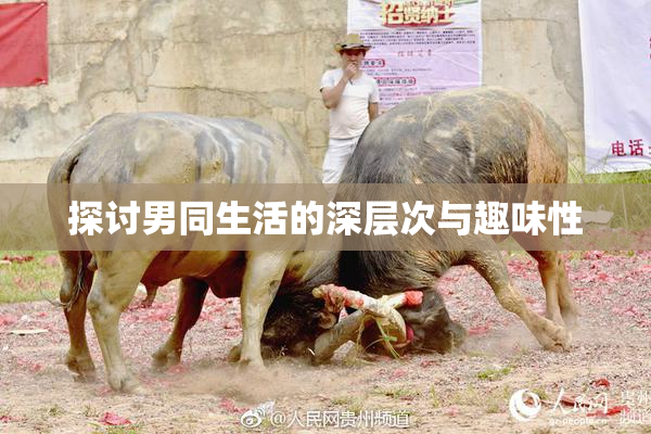 探讨男同生活的深层次与趣味性