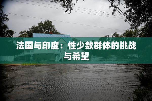 法国与印度：性少数群体的挑战与希望