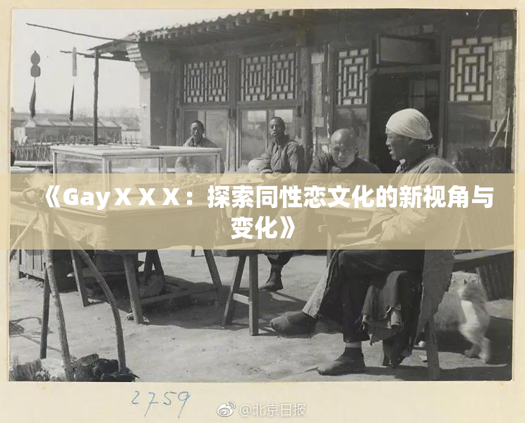 《GayⅩⅩⅩ：探索同性恋文化的新视角与变化》