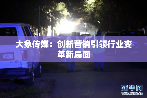 大象传媒：创新营销引领行业变革新局面