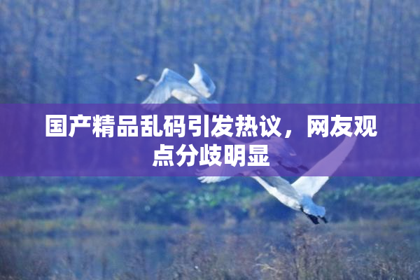 国产精品乱码引发热议，网友观点分歧明显