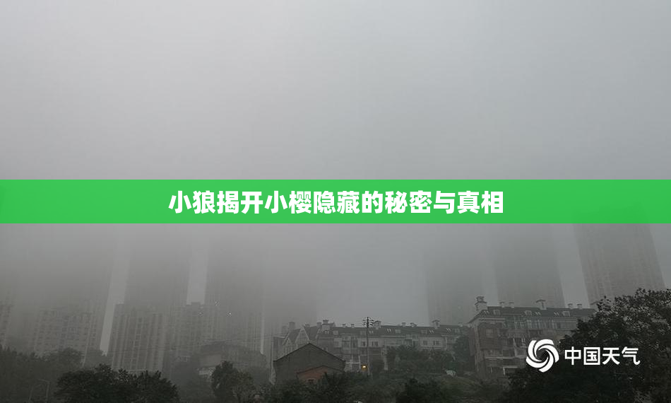 小狼揭开小樱隐藏的秘密与真相