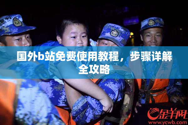 国外b站免费使用教程，步骤详解全攻略