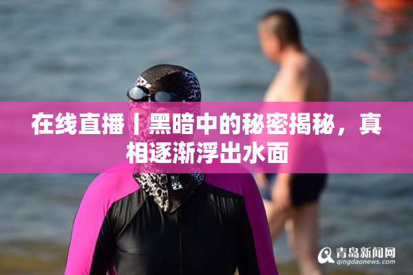 在线直播丨黑暗中的秘密揭秘，真相逐渐浮出水面