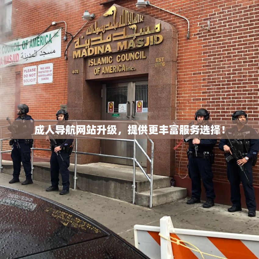 成人导航网站升级，提供更丰富服务选择！