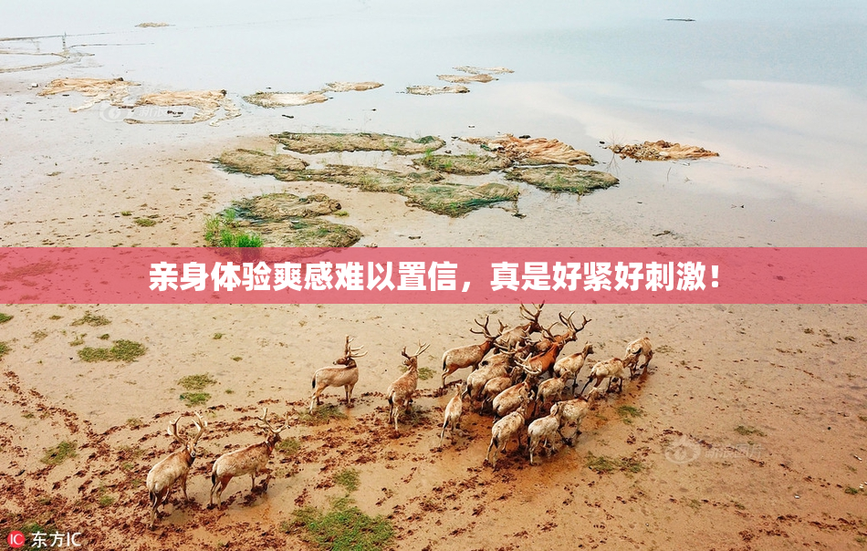 亲身体验爽感难以置信，真是好紧好刺激！