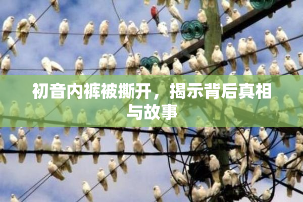 初音内裤被撕开，揭示背后真相与故事
