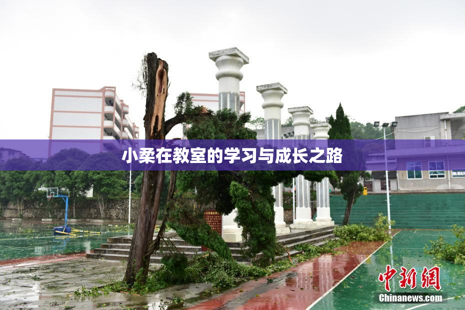 小柔在教室的学习与成长之路