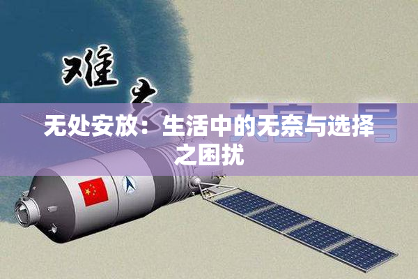 无处安放：生活中的无奈与选择之困扰