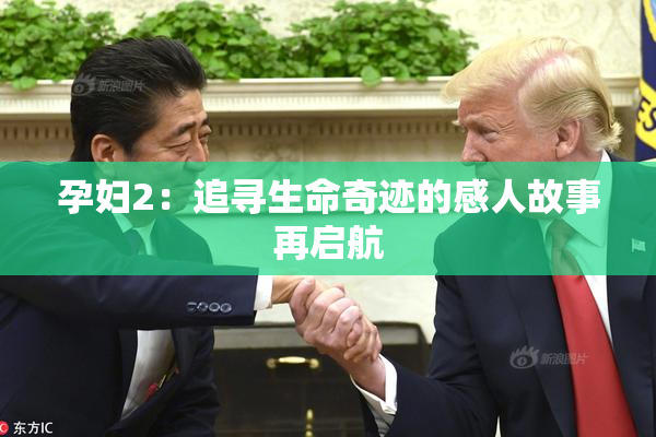 孕妇2：追寻生命奇迹的感人故事再启航