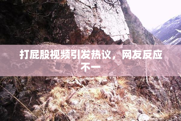 打屁股视频引发热议，网友反应不一