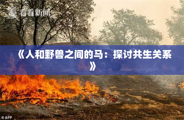 《人和野兽之间的马：探讨共生关系》