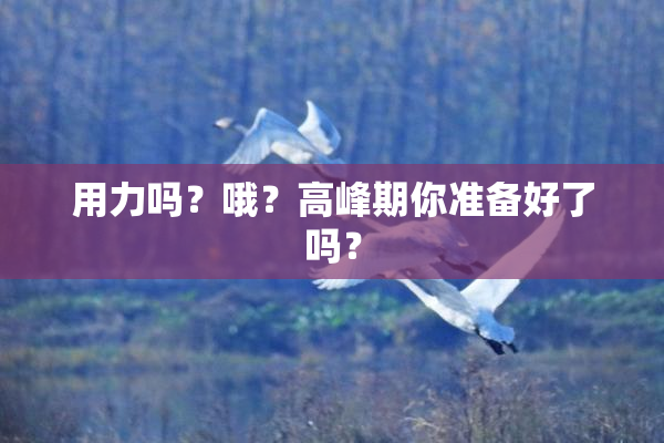 用力吗？哦？高峰期你准备好了吗？