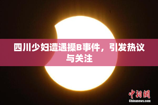 四川少妇遭遇搡B事件，引发热议与关注