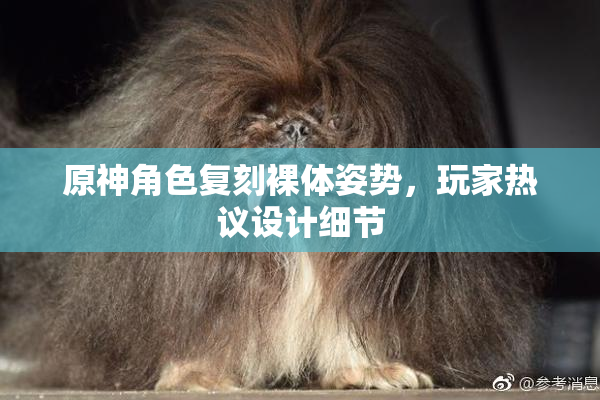 原神角色复刻裸体姿势，玩家热议设计细节
