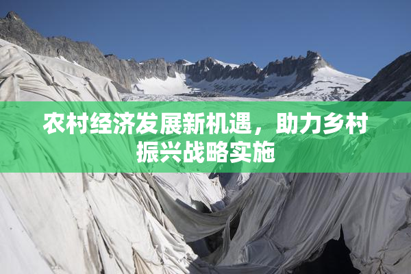农村经济发展新机遇，助力乡村振兴战略实施