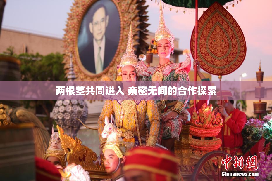两根茎共同进入 亲密无间的合作探索