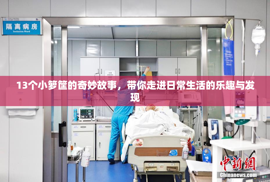 13个小箩筐的奇妙故事，带你走进日常生活的乐趣与发现