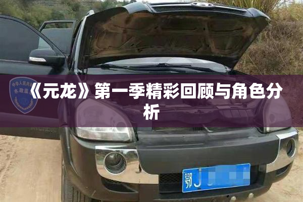 《元龙》第一季精彩回顾与角色分析