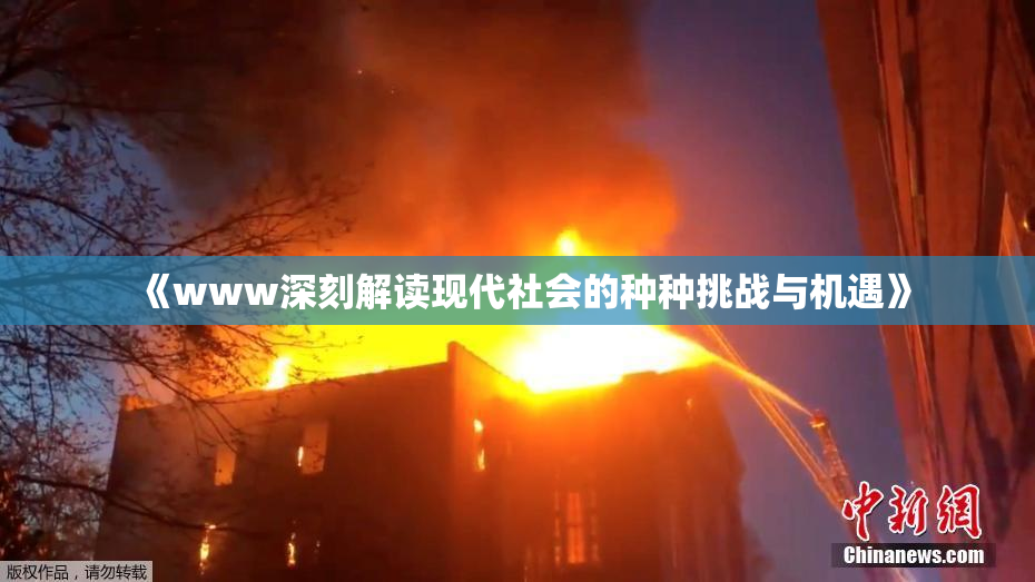 《www深刻解读现代社会的种种挑战与机遇》