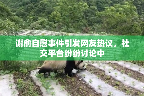 谢俞自慰事件引发网友热议，社交平台纷纷讨论中