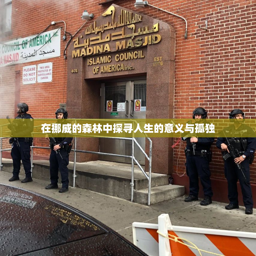 在挪威的森林中探寻人生的意义与孤独