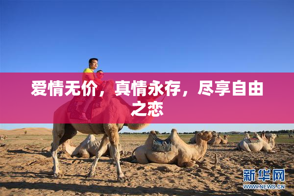 爱情无价，真情永存，尽享自由之恋