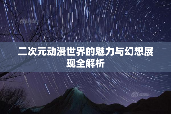 二次元动漫世界的魅力与幻想展现全解析