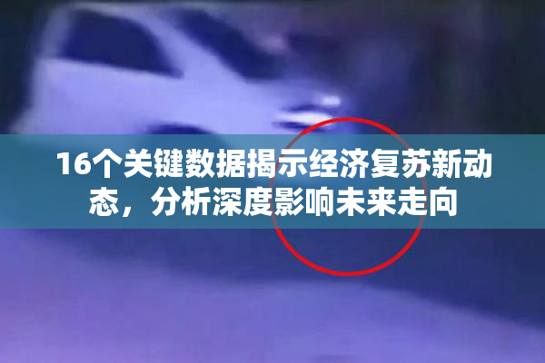 16个关键数据揭示经济复苏新动态，分析深度影响未来走向