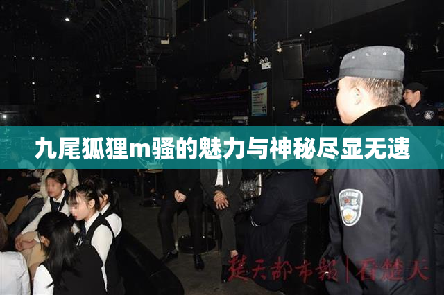 九尾狐狸m骚的魅力与神秘尽显无遗