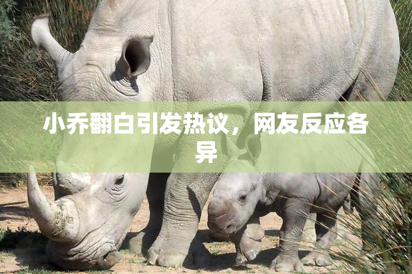 小乔翻白引发热议，网友反应各异