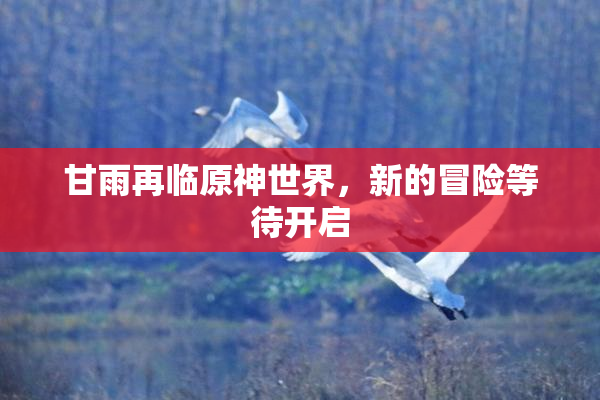 甘雨再临原神世界，新的冒险等待开启
