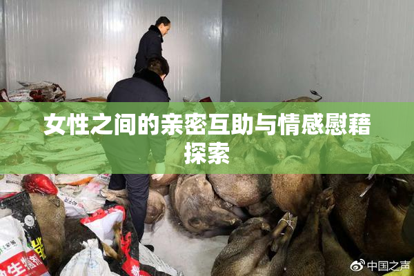 女性之间的亲密互助与情感慰藉探索
