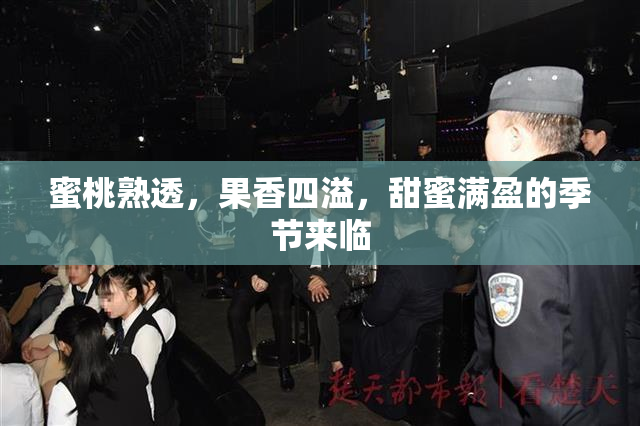 蜜桃熟透，果香四溢，甜蜜满盈的季节来临