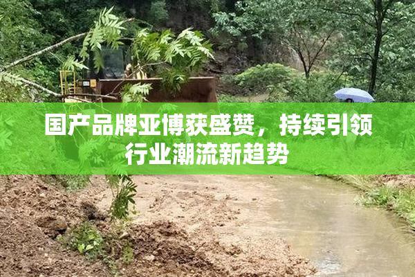 国产品牌亚博获盛赞，持续引领行业潮流新趋势