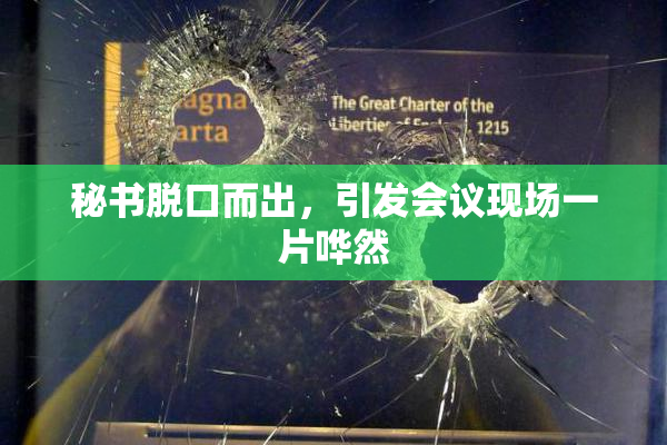 秘书脱口而出，引发会议现场一片哗然