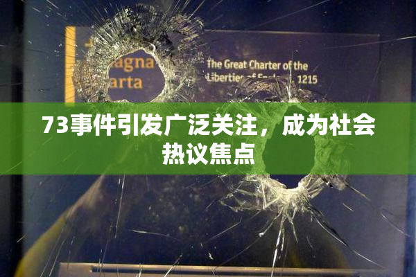 73事件引发广泛关注，成为社会热议焦点