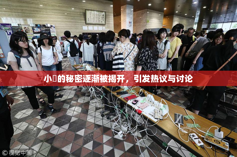小泬的秘密逐渐被揭开，引发热议与讨论