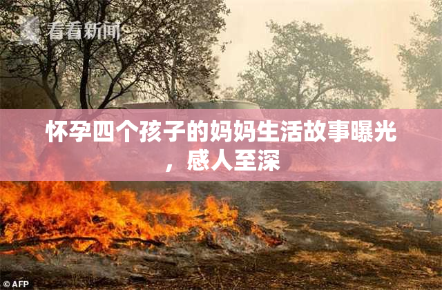 怀孕四个孩子的妈妈生活故事曝光，感人至深