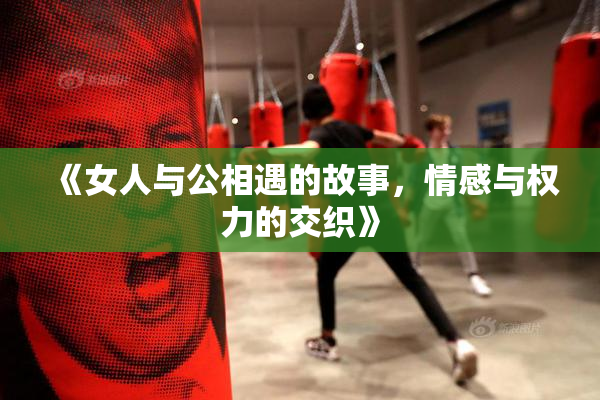 《女人与公相遇的故事，情感与权力的交织》