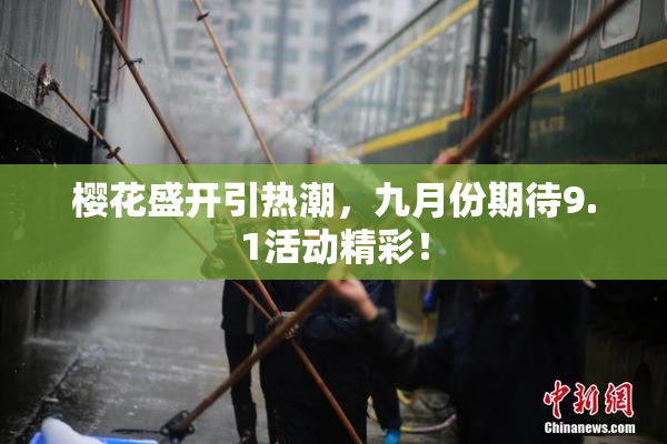 樱花盛开引热潮，九月份期待9.1活动精彩！